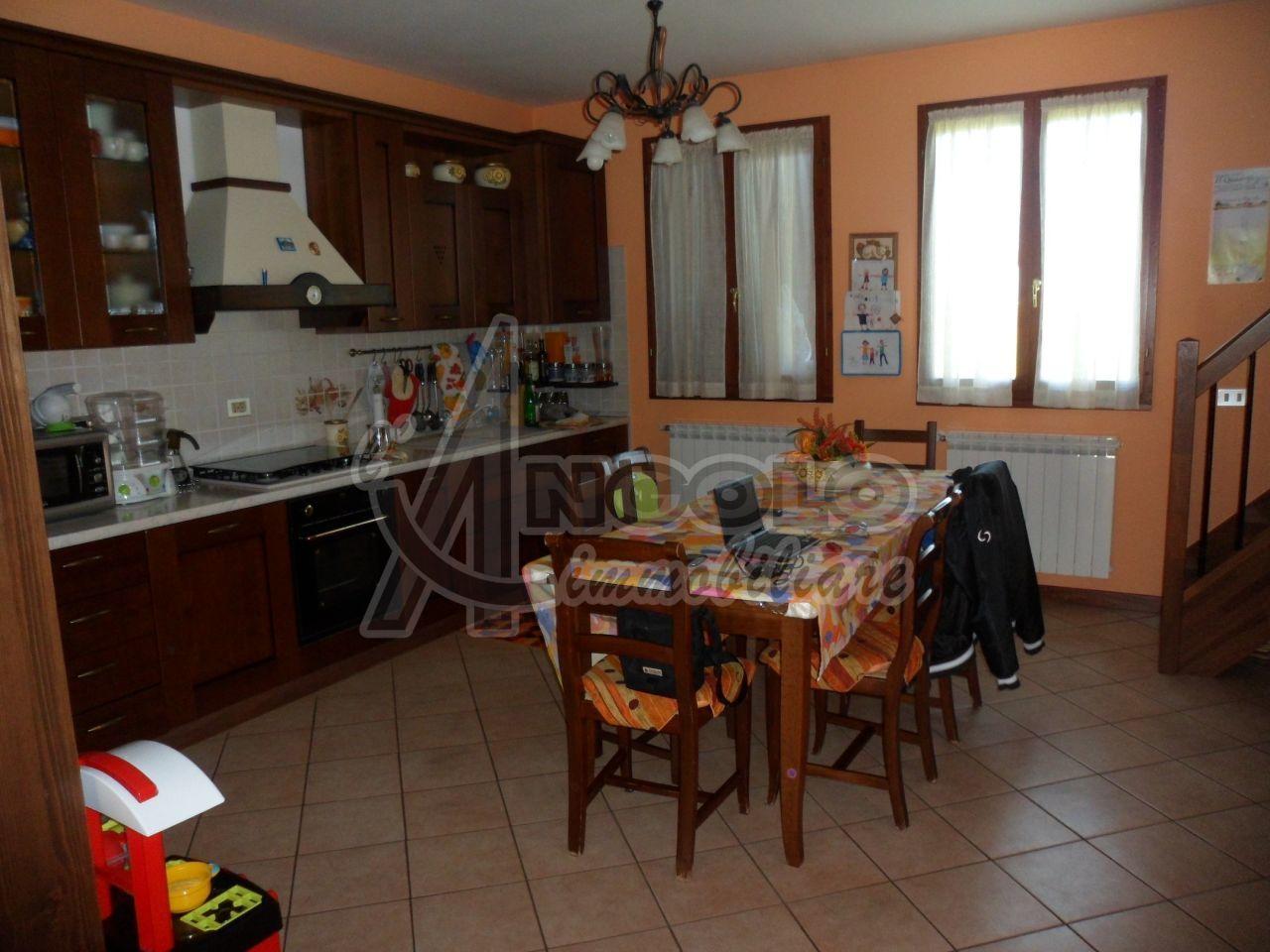 Vendita Quadrivani, Canaro foto
