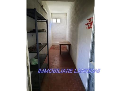 Vendita CANTINA, Scandicci foto