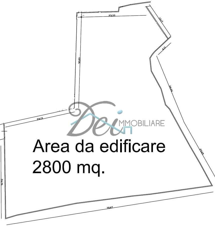 Vendita vendita, Capannori Vendita vendita, Capannori foto