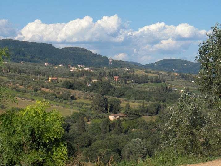 Vendita vendita, Capannori foto