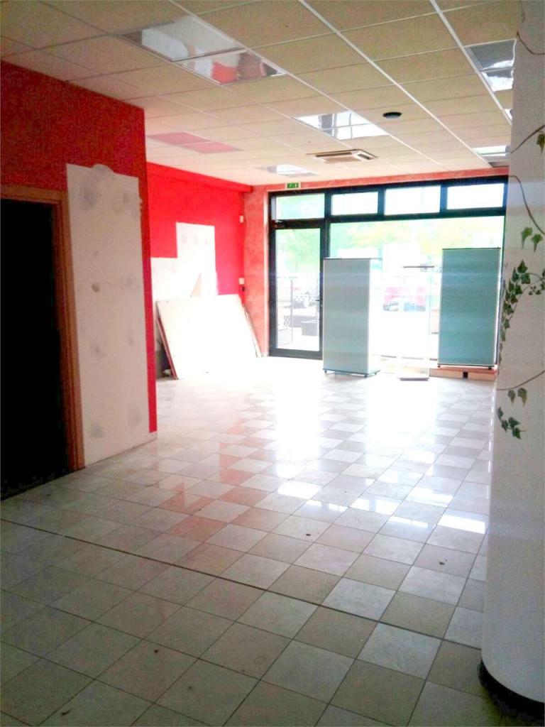 Affitto affitto, Capannori Affitto affitto, Capannori foto