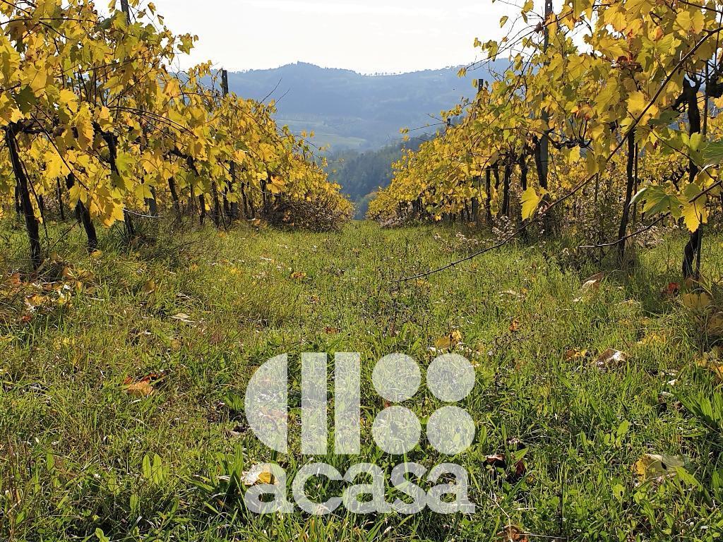 Vendita Terreno Agricolo, Cesena foto