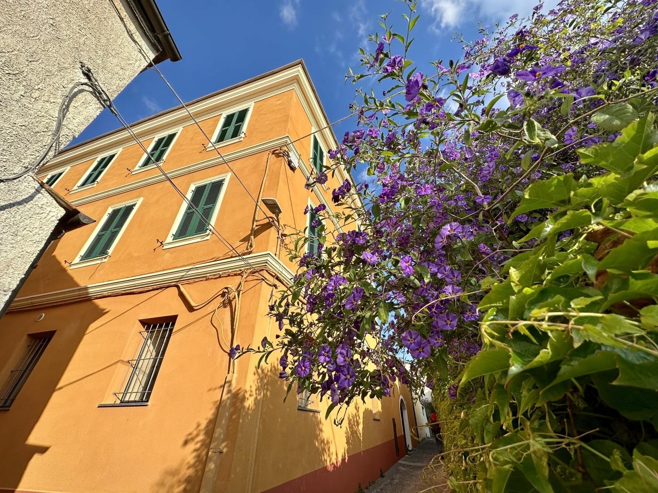 Vendita Quadrivani, Diano San Pietro Vendita Quadrivani, Diano San Pietro foto