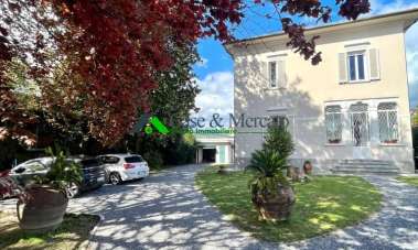 Vendita Multivani, Lucca Vendita Multivani, Lucca