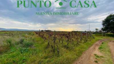 Vendita vendita, Lamezia Terme