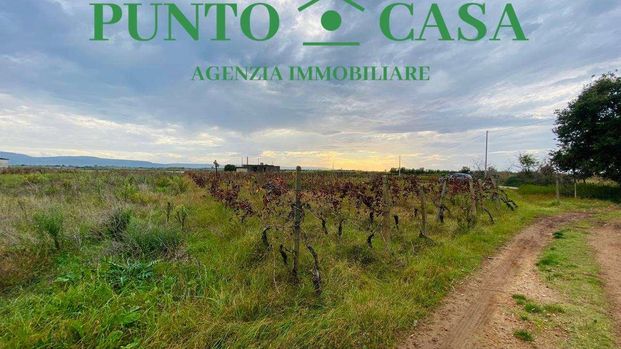 Vendita vendita, Lamezia Terme foto