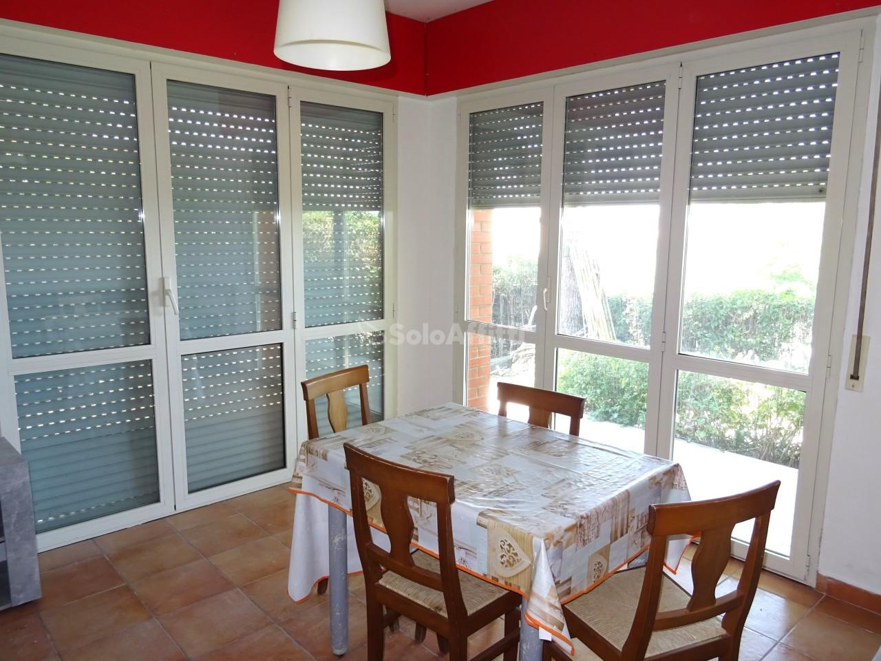 Affitto Trivani, Senigallia Affitto Trivani, Senigallia foto