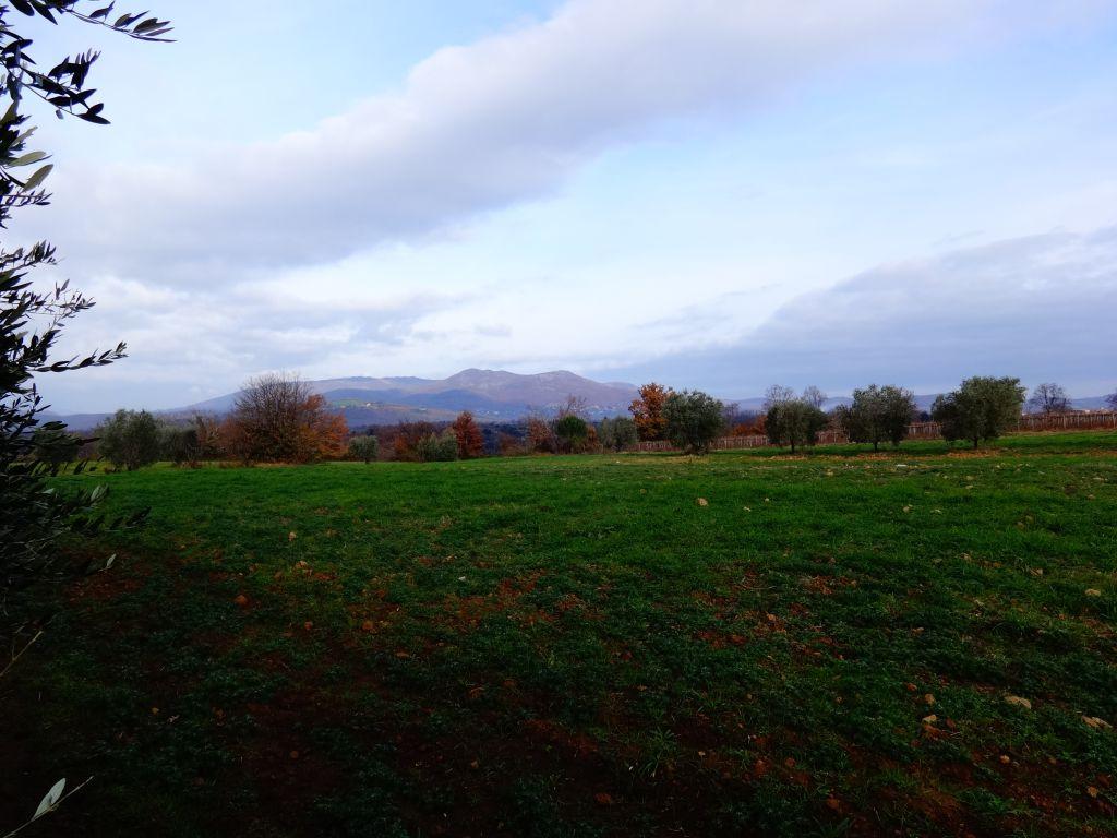 Vendita Altri immobili, Sorano foto