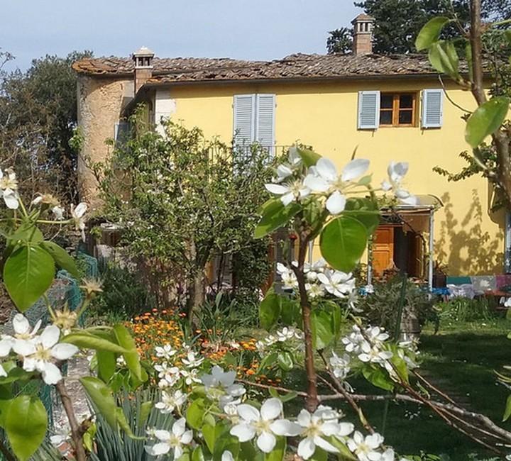 Vendita Altri immobili, Rapolano Terme foto