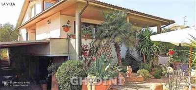 Vendita Multivani, Grosseto Vendita Multivani, Grosseto