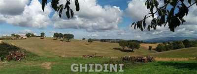 Vendita Quadrivani, Scansano