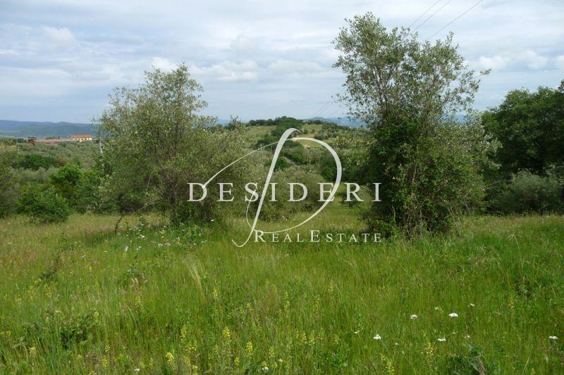 Vendita Altri immobili, Castiglione della Pescaia Vendita Altri immobili, Castiglione della Pescaia foto