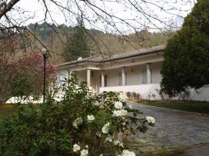 Vendita Multivani, Camaiore Vendita Multivani, Camaiore