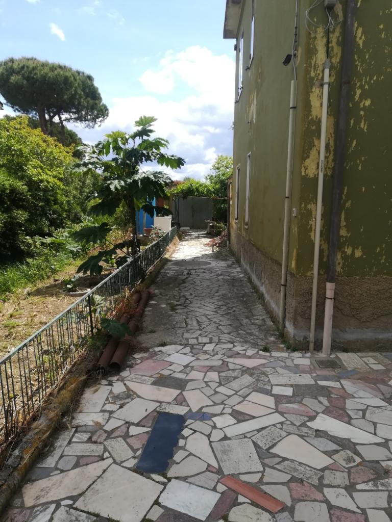 Vendita Trivani, Follonica foto