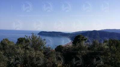 Vendita Quadrivani, Alassio Vendita Quadrivani, Alassio