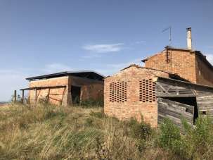 Vendita Multivani, Asciano Vendita Multivani, Asciano