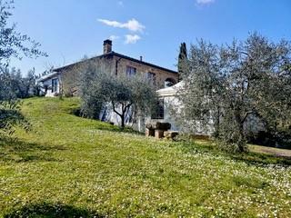 Vendita Multivani, Sinalunga Vendita Multivani, Sinalunga foto