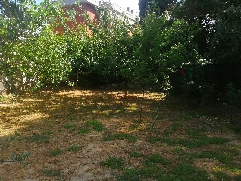 Vendita Trivani, Empoli foto