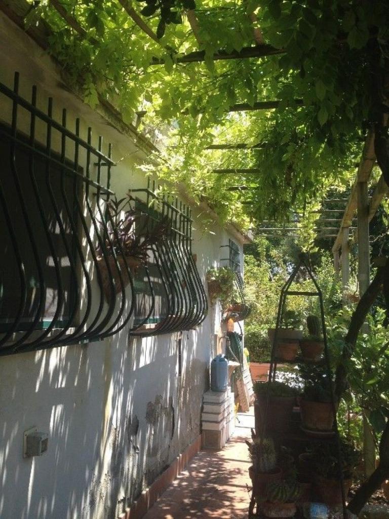 Vendita Esavani, Empoli foto