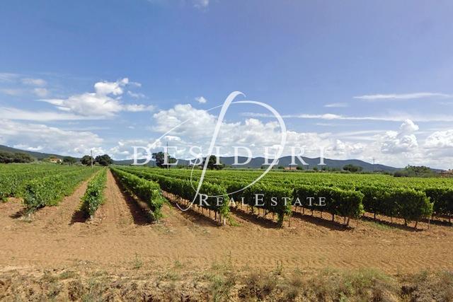 Vendita Altri immobili, Castiglione della Pescaia foto