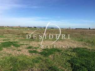 Vendita Case, Grosseto