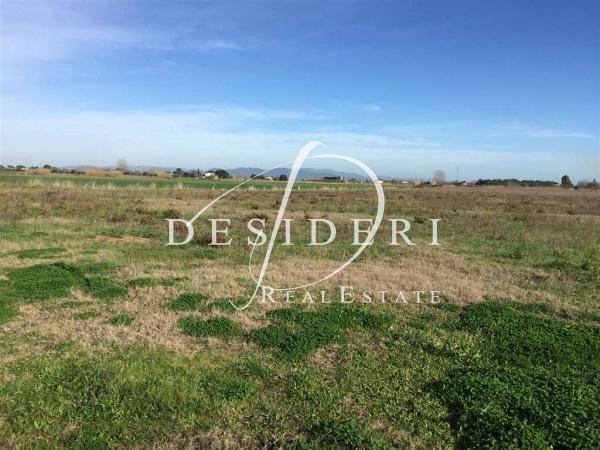 Vendita Case, Grosseto foto