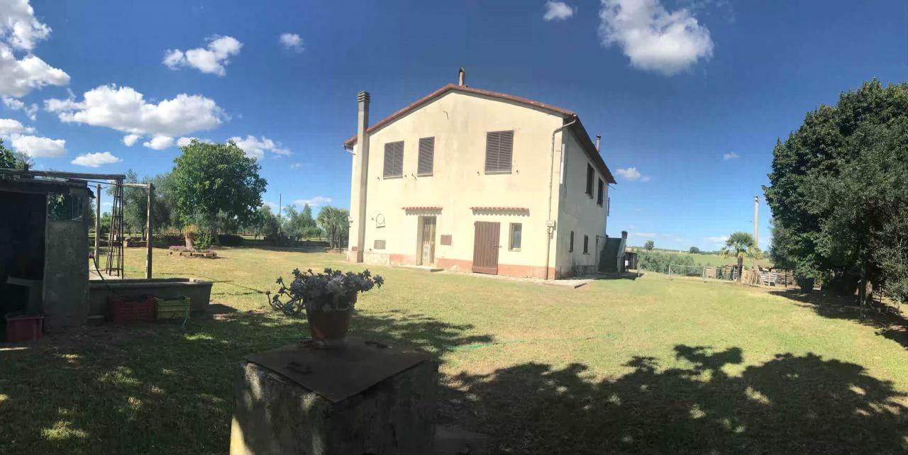 Vendita Esavani, Pitigliano foto