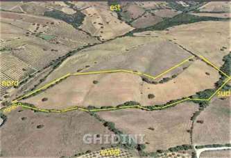 Vendita Monovano, Grosseto Vendita Monovano, Grosseto