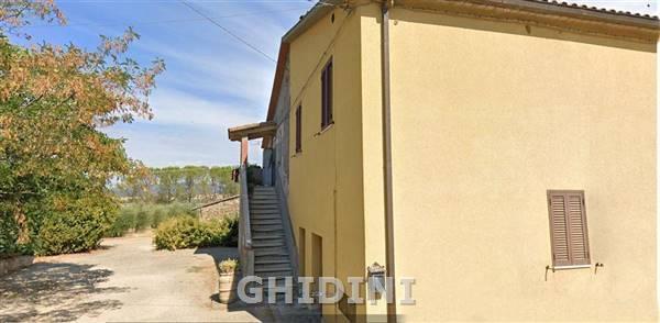 Vendita Multivani, Campagnatico foto