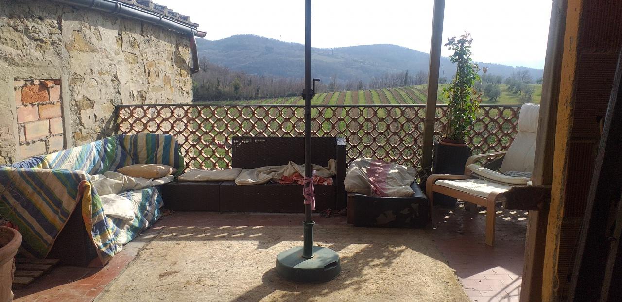 Vendita Multivani, Rufina Vendita Multivani, Rufina foto