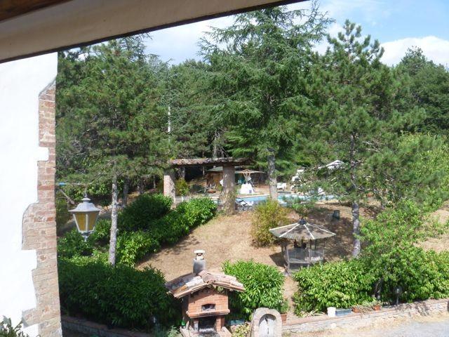 Vendita Multivani, Siena foto