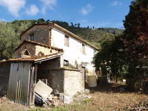 Vendita Esavani, Camaiore Vendita Esavani, Camaiore