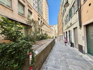 Venda Trivani, Genova Venda Trivani, Genova