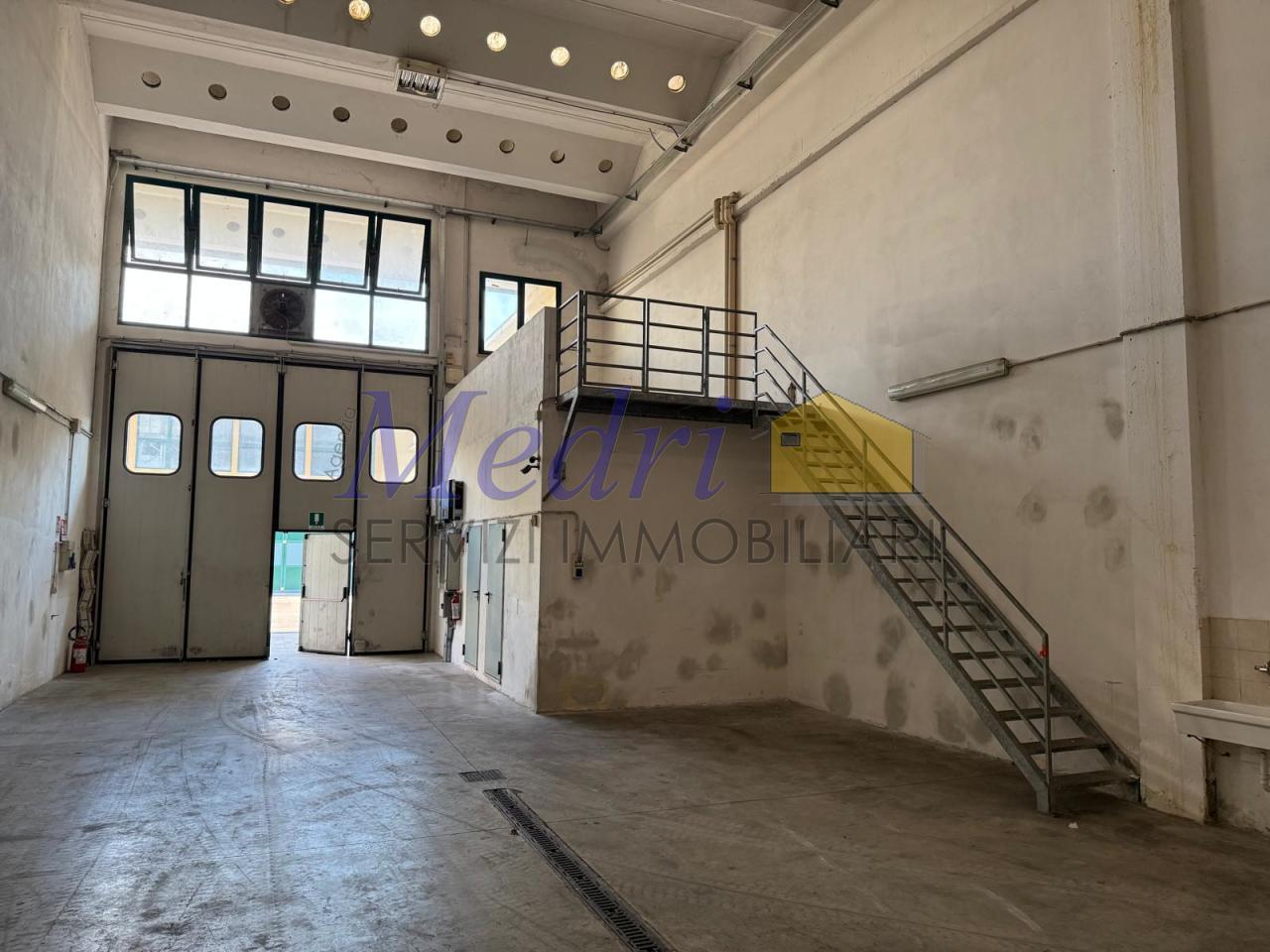 Affitto Monovano, Cesena foto