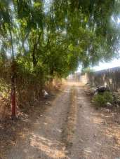 Vendita Terreno, Frignano Vendita Terreno, Frignano