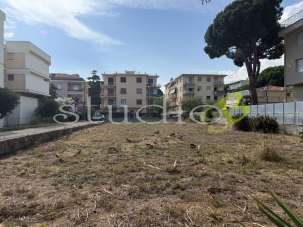 Vendita vendita, Bordighera