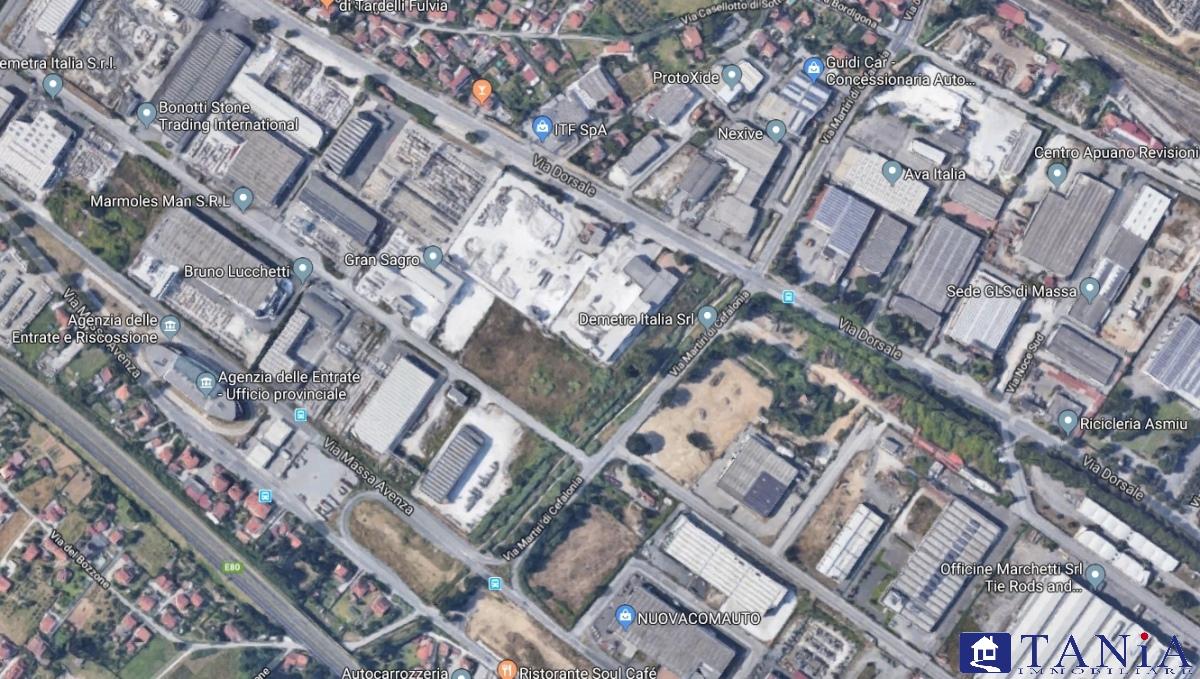 Vendita Eptavani, Massa foto