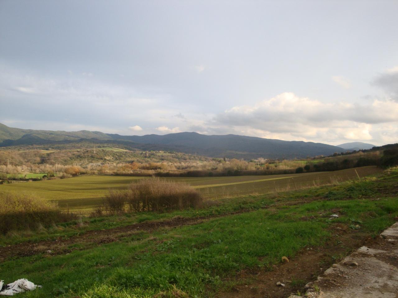 Vendita Monovano, Bibbona foto