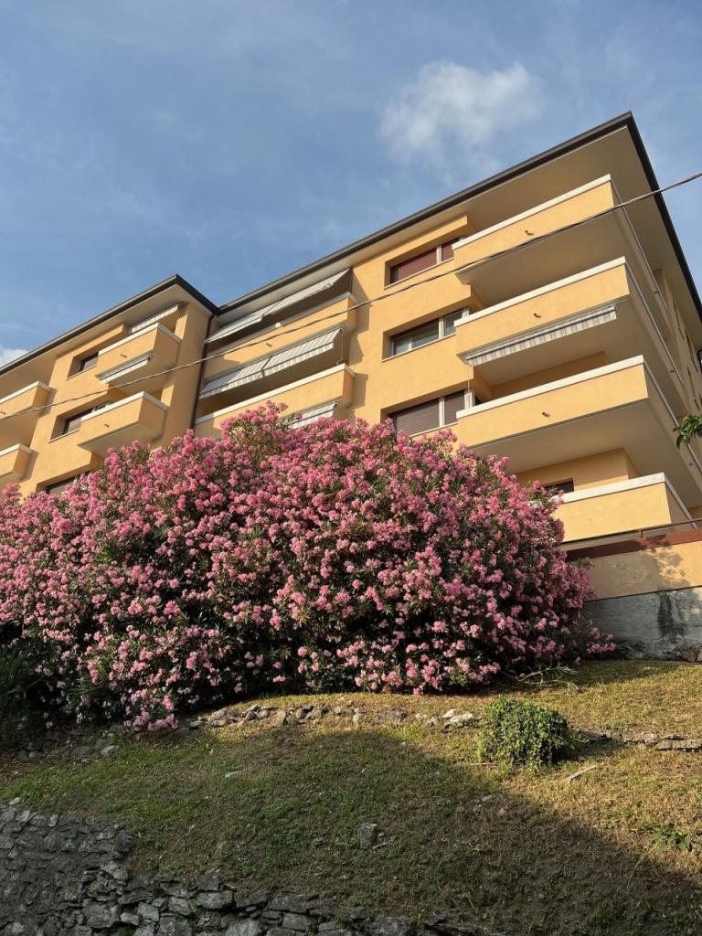 Vendita Pentavani, Como foto