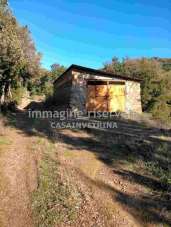 Vendita Rustico, Scansano Vendita Rustico, Scansano
