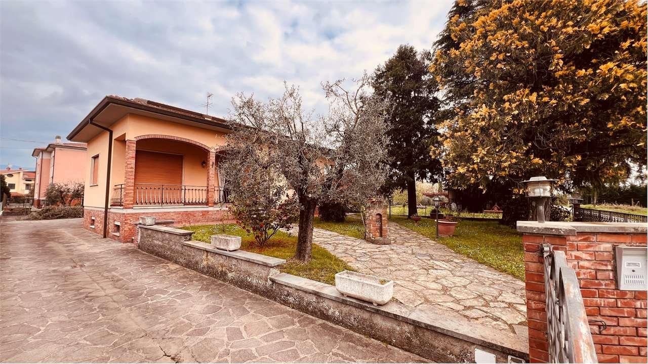 Vendita vendita, Lucca foto