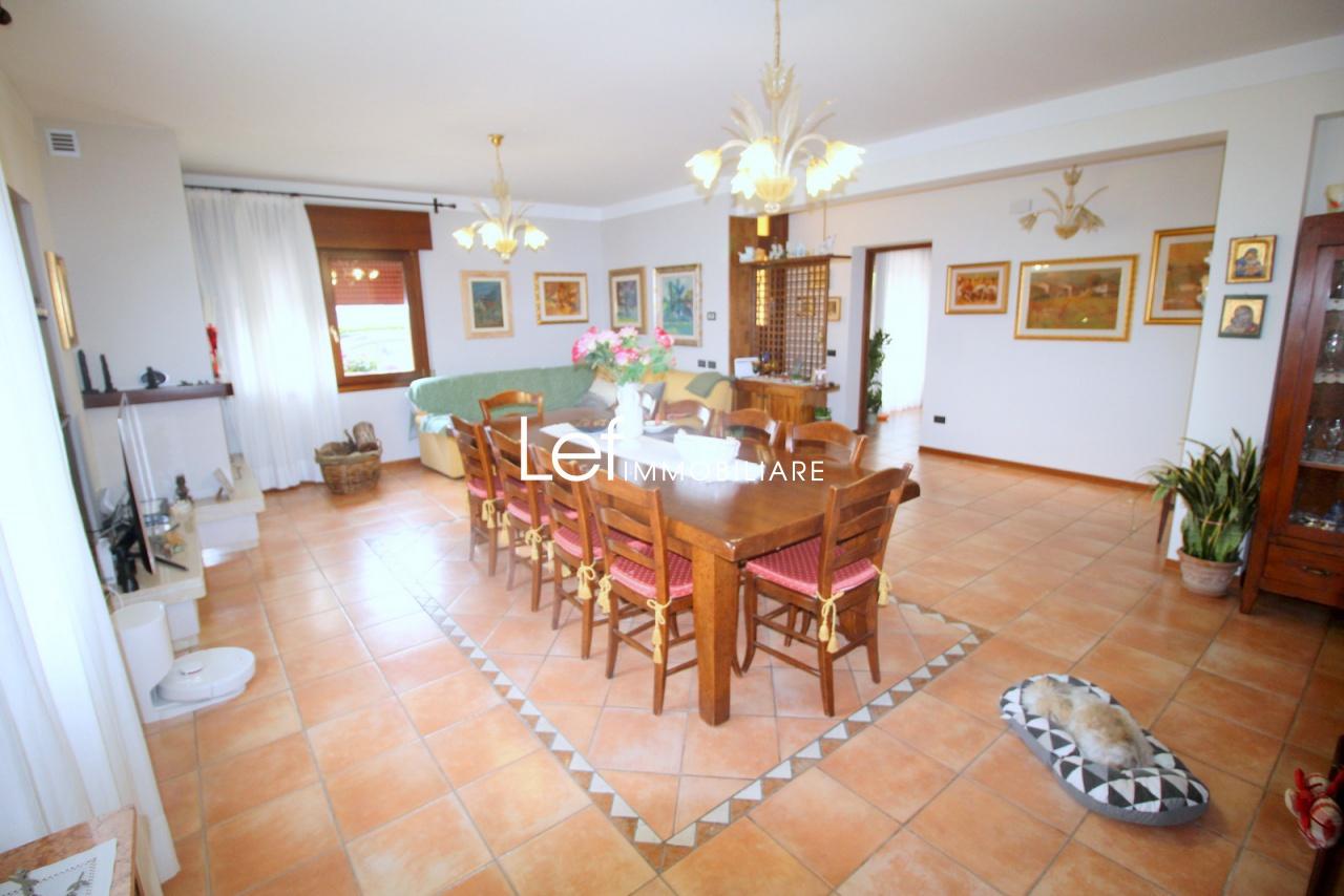 Vendita Multivani, Susegana foto