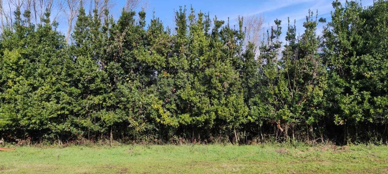 Vendita Terreni, Cassino Vendita Terreni, Cassino foto