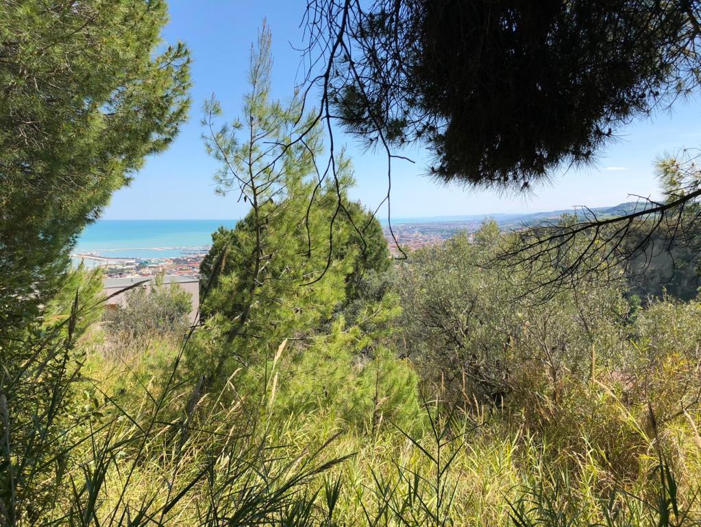 Vendita Monovano, Grottammare Vendita Monovano, Grottammare foto