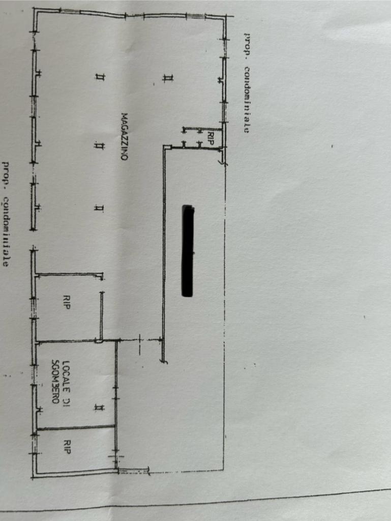 Vendita Trivani, Castelnuovo Magra foto