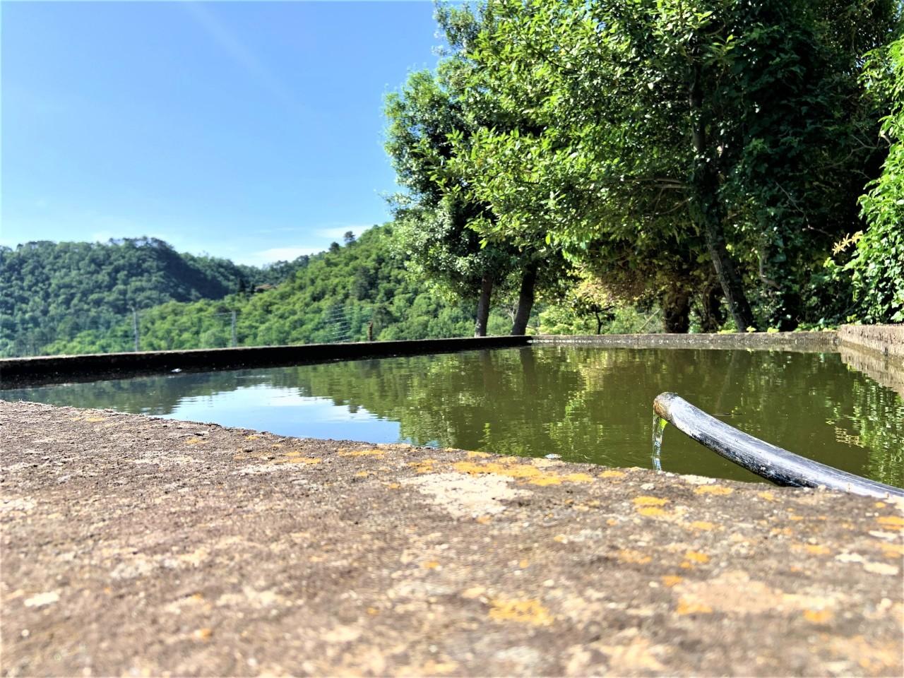 Vendita Multivani, Vaiano foto