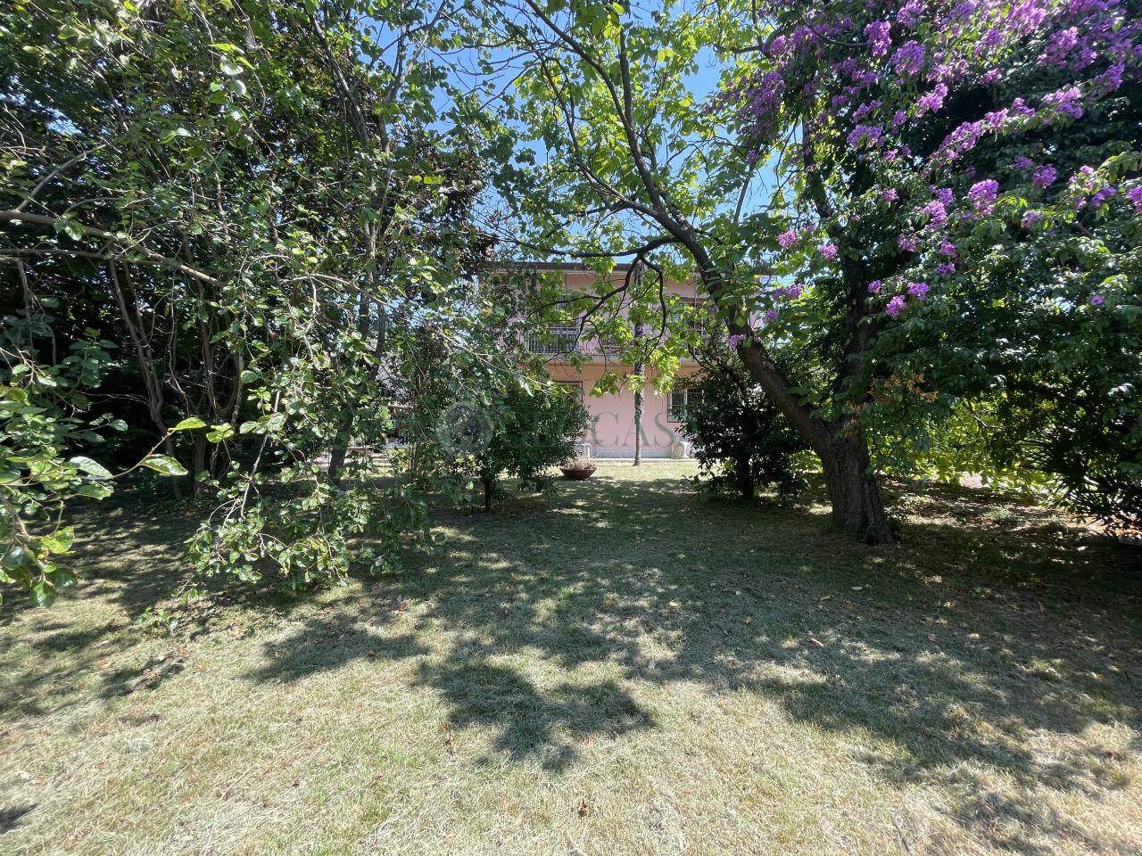 Vendita Multivani, Sarzana foto