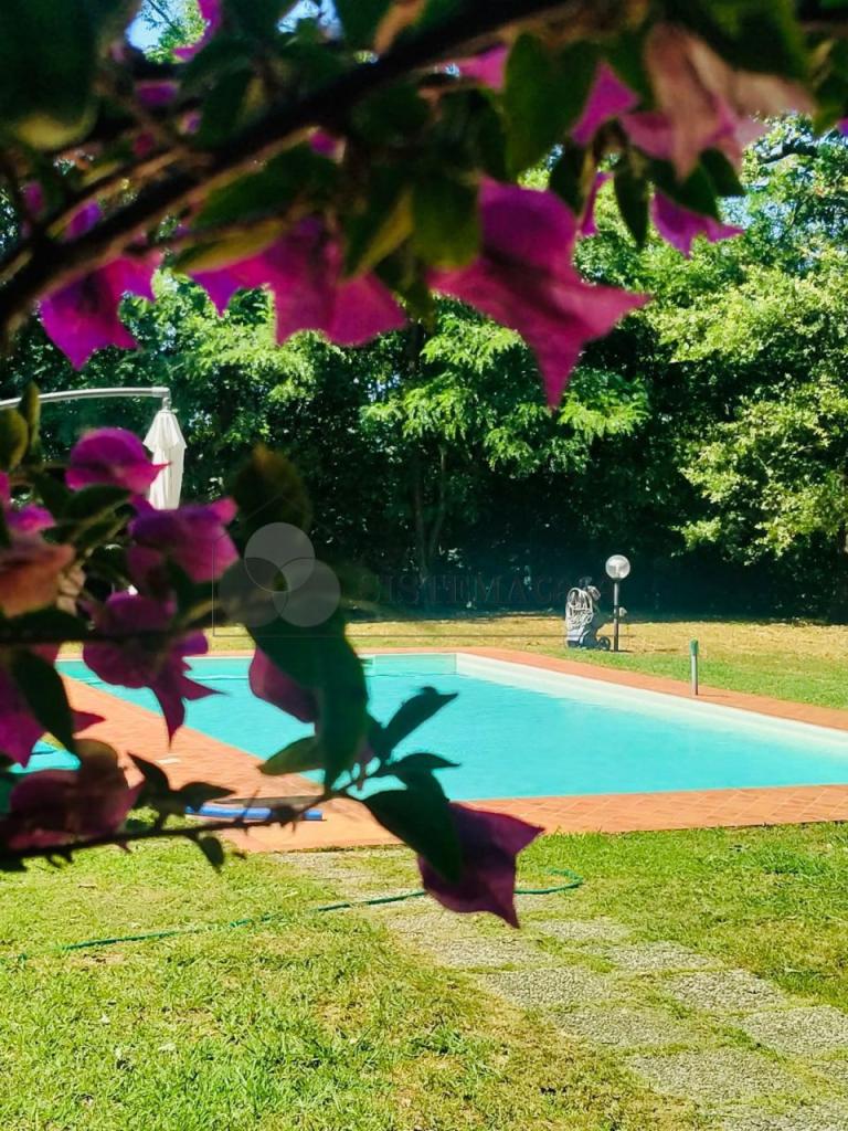 Vendita Eptavani, Castelnuovo Magra foto
