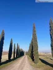 Vendita Appartamento, Monteroni d'Arbia