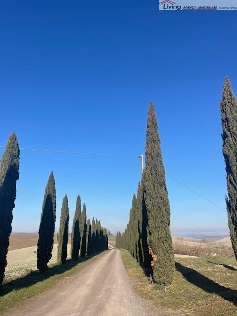 Vendita Appartamento, Monteroni d'Arbia foto